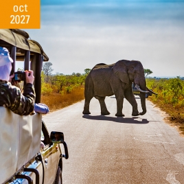 Voyage : Afrique du Sud